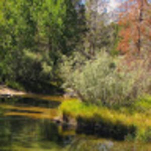 Meet your Posher, Valerie